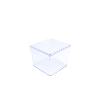 Caixinha 4x4 Transp C10pcs C4t001 Tasil