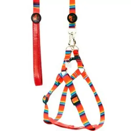 Peit Guia Prime Color Md Gr Pet
