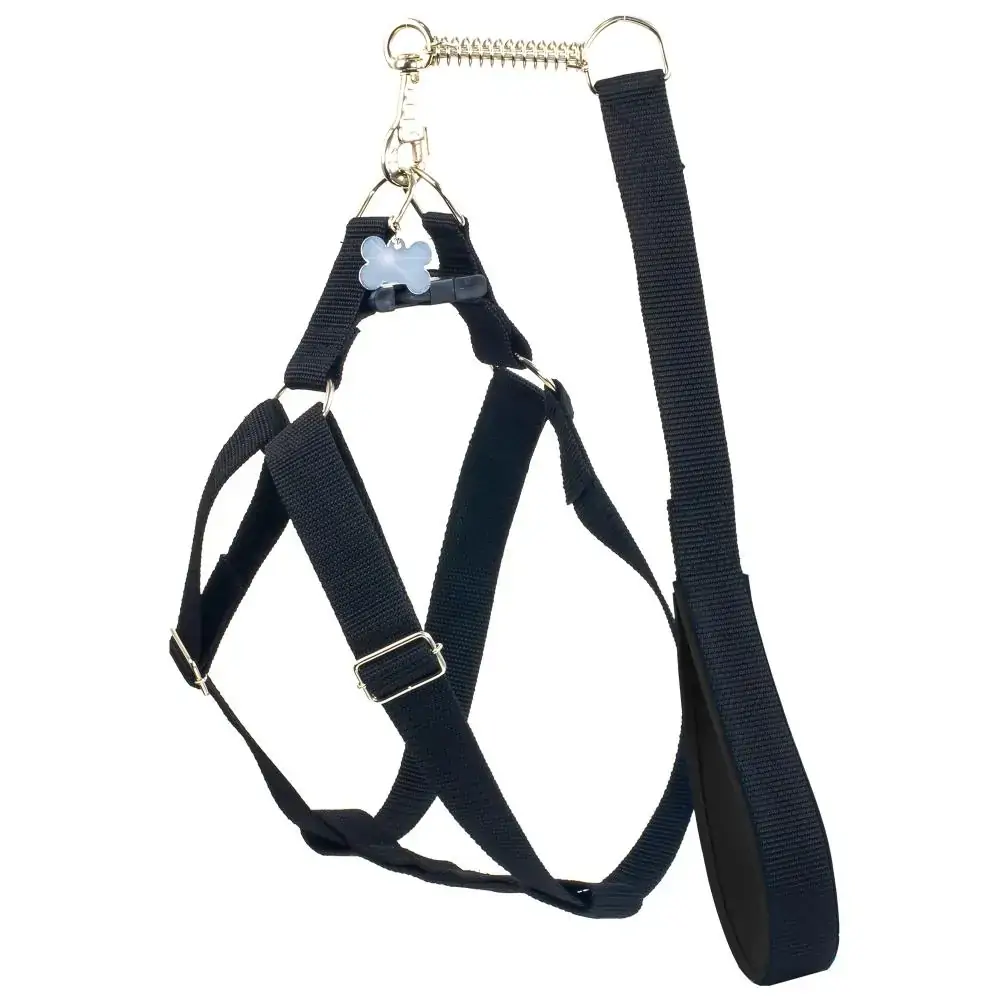 Peitoral E Guia Speciale Grande Porte Tamanho P Preto Gr Pet