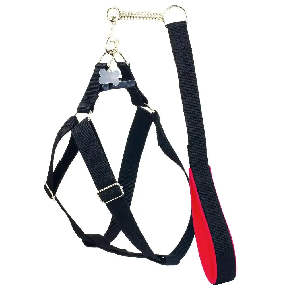 Conjunto Peitoral Guia Speciale Rg Tamanho P Cor Vermelho Gr Pet