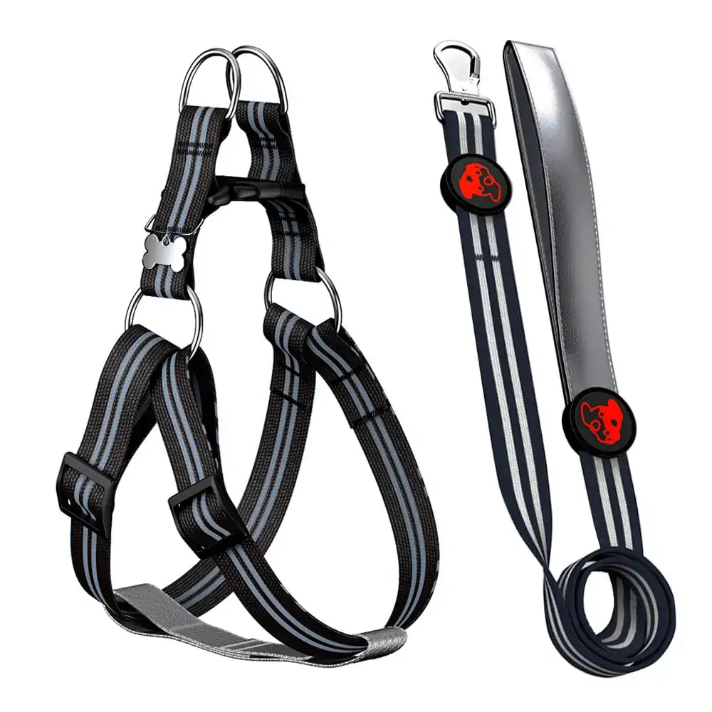 Gr Pet Peit E Guia Silver P Preto