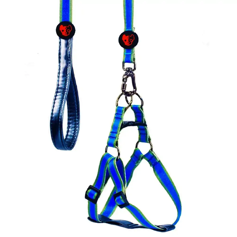 Conjunto Peitoral Guia Onix Tamanho M Cor Azul Gr Pet