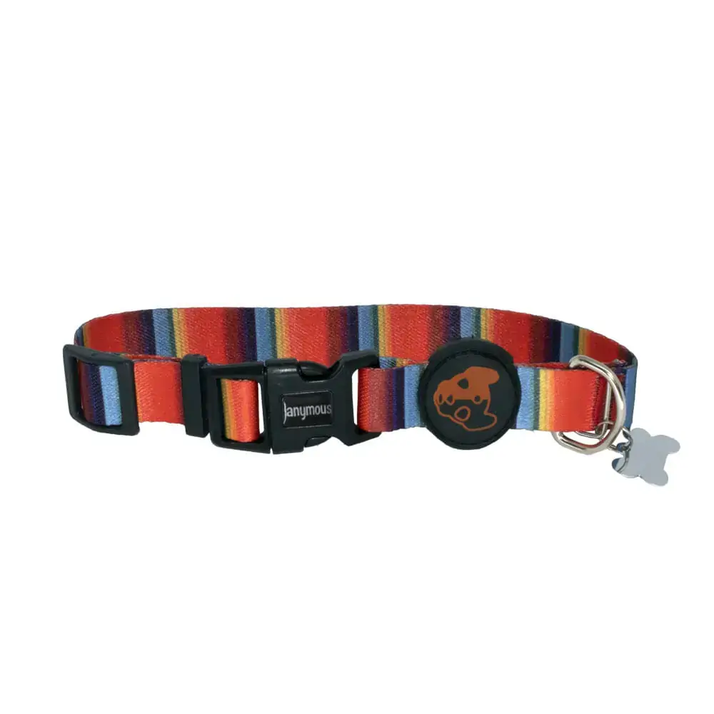 Coleira Para Cachorros Prime Color Tamanho G Gr Pet