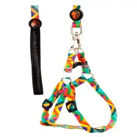 Peitoral E Guia Europa Tamanho G Multicolor Gr Pet 2un