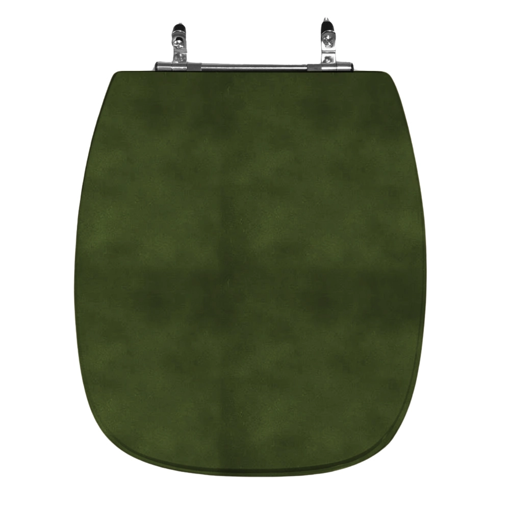 Assento Sanitário Poliéster Stylus Celite Aço Verde Degrade