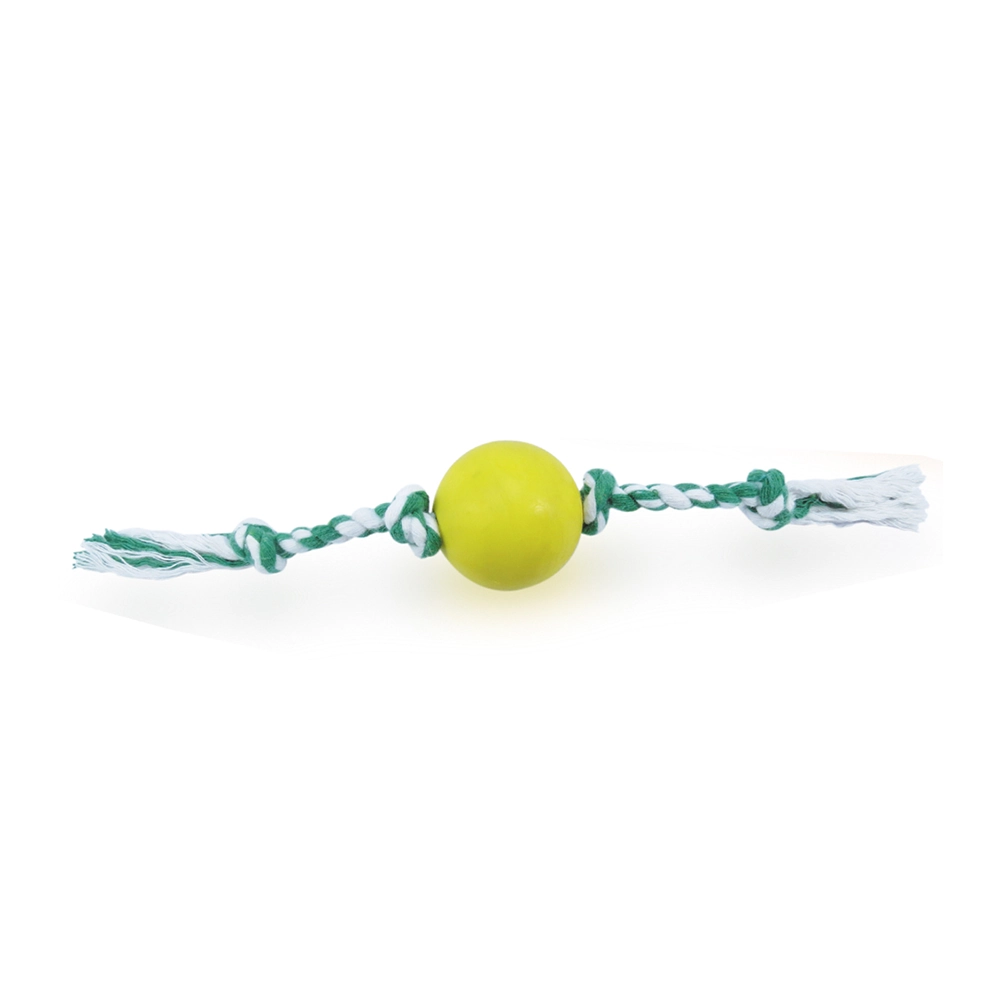 Brinquedo Pet Injet Bola Maciça Com Corda Lisa 50mm