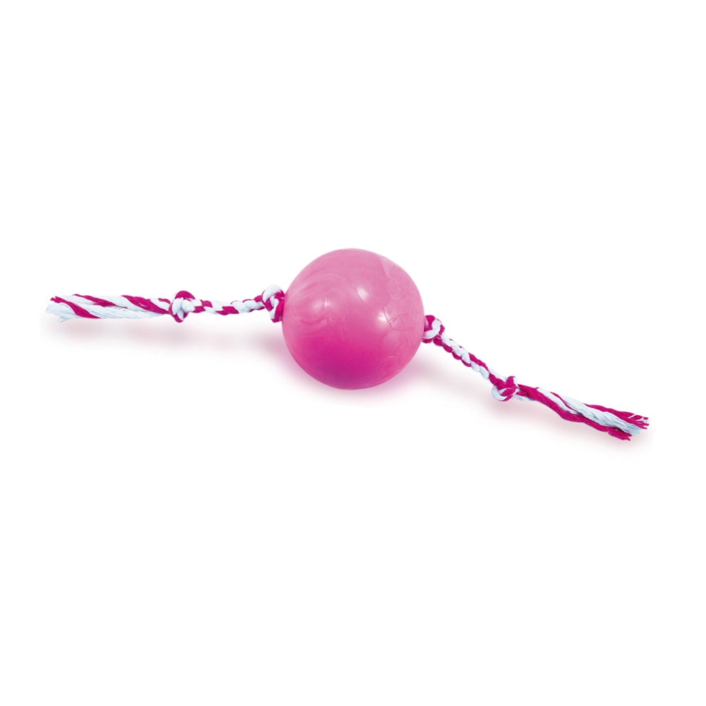 Brinquedo Pet Injet Bola Maciça Com Corda Lisa 85mm