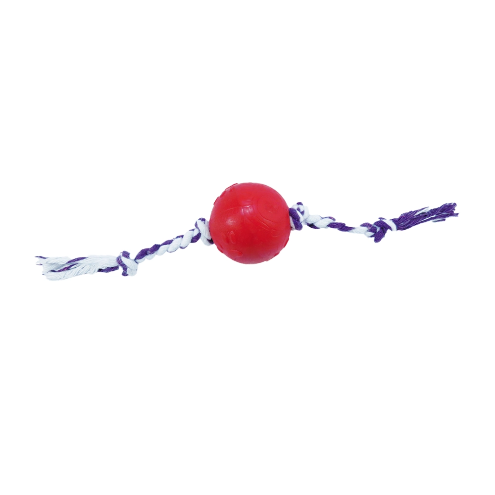 Brinquedo Pet Injet Bola Maciça Com Corda Patinhas 55mm
