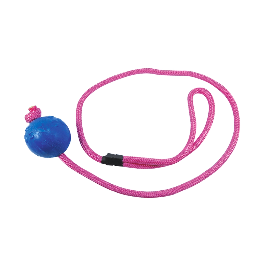 Brinquedo Pet Injet Puxador Com Bola Maciça Patinha 55mm