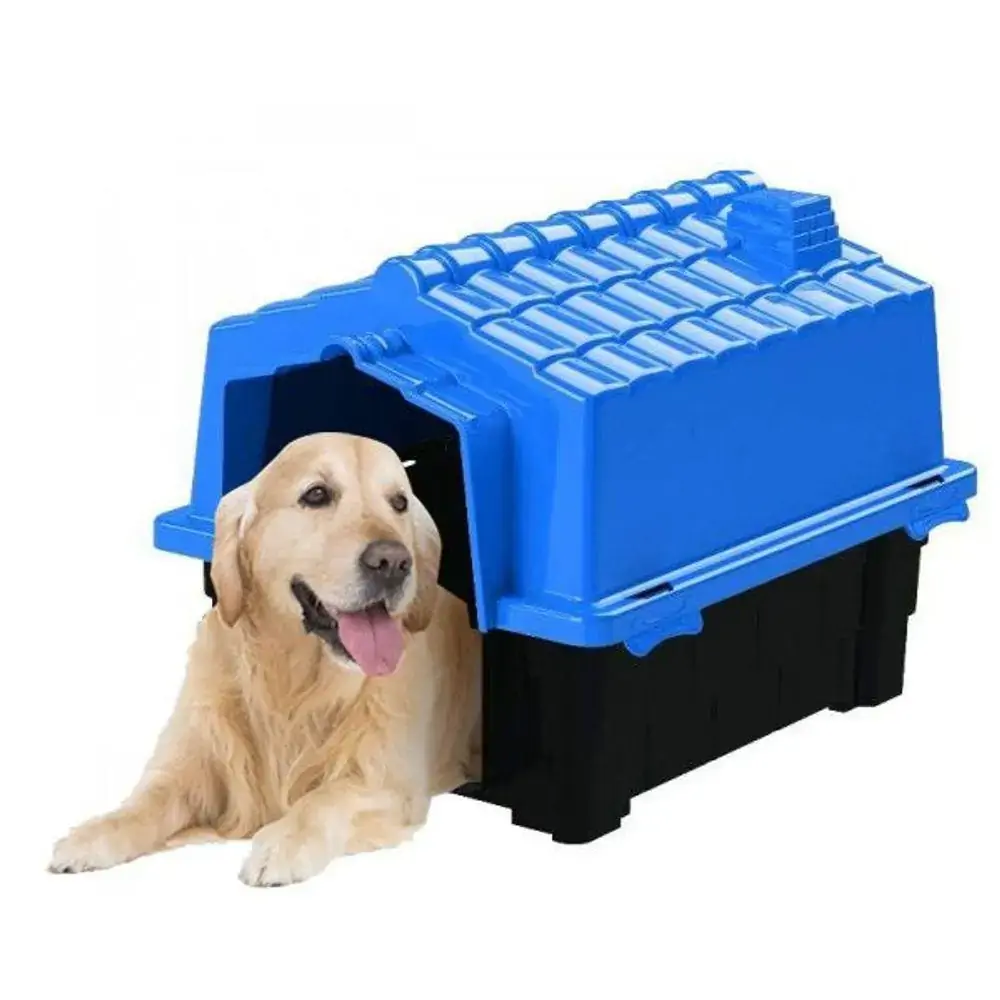 Casa Dog House Evolution Azul Número 4 Pet Injet