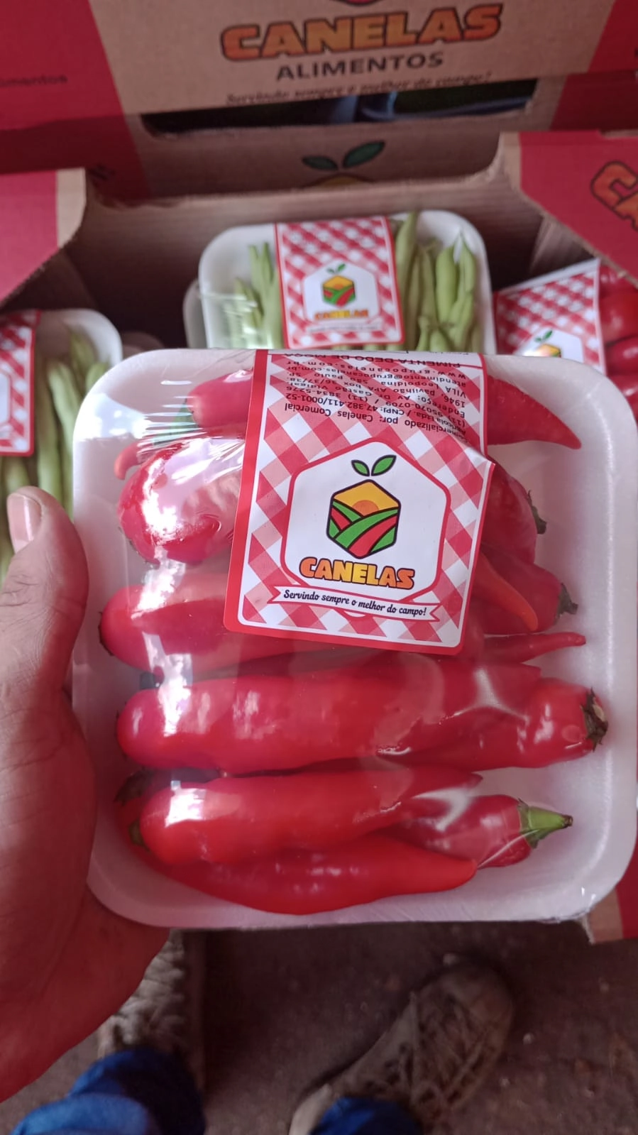 Pimenta Dedo De Moca Bdj 200g