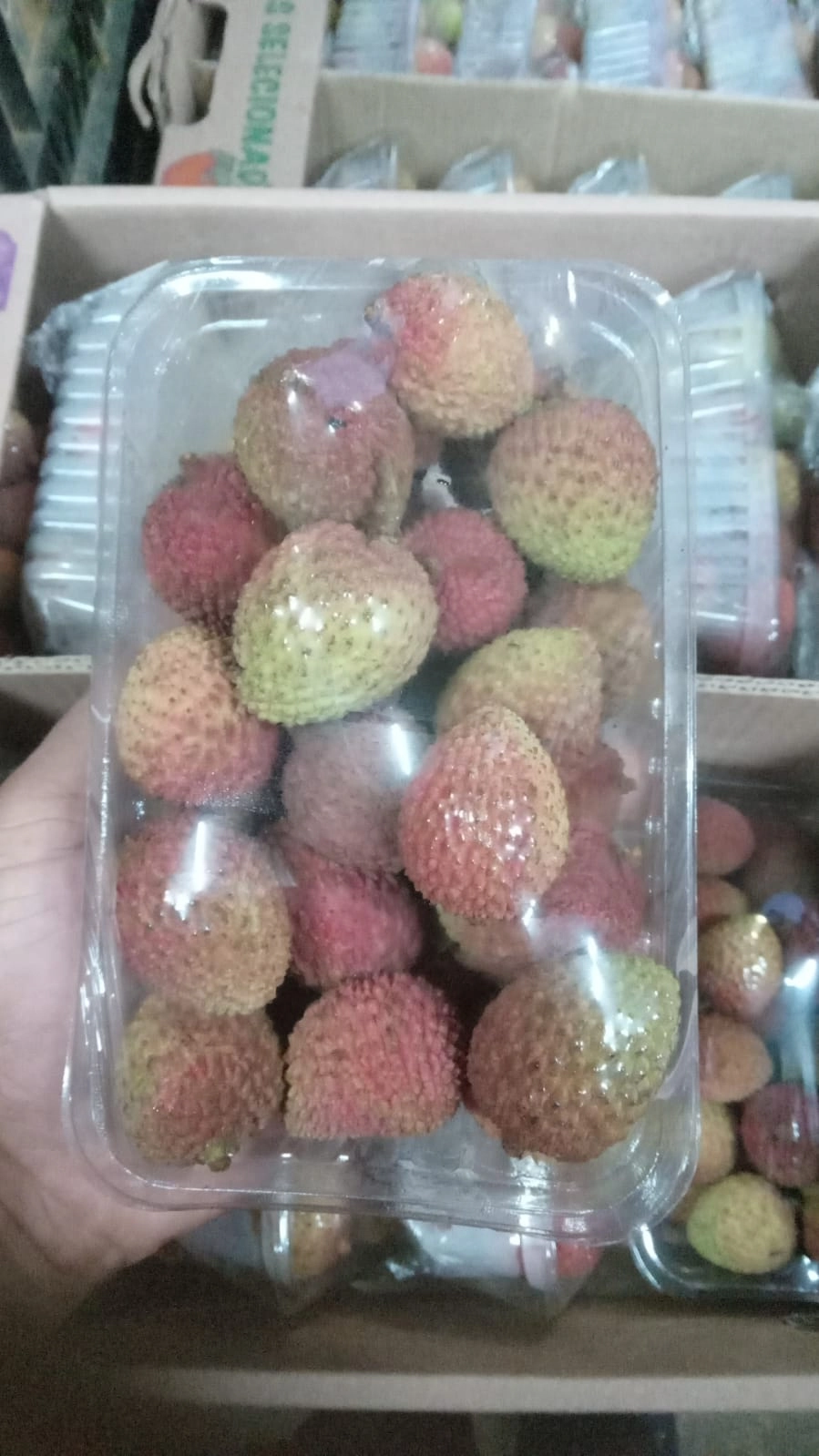 Lichia 500gr Embalada