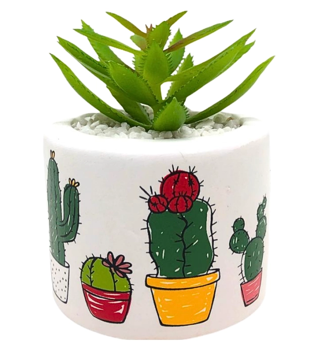 Cachepot Vanjos Redondo Cacto