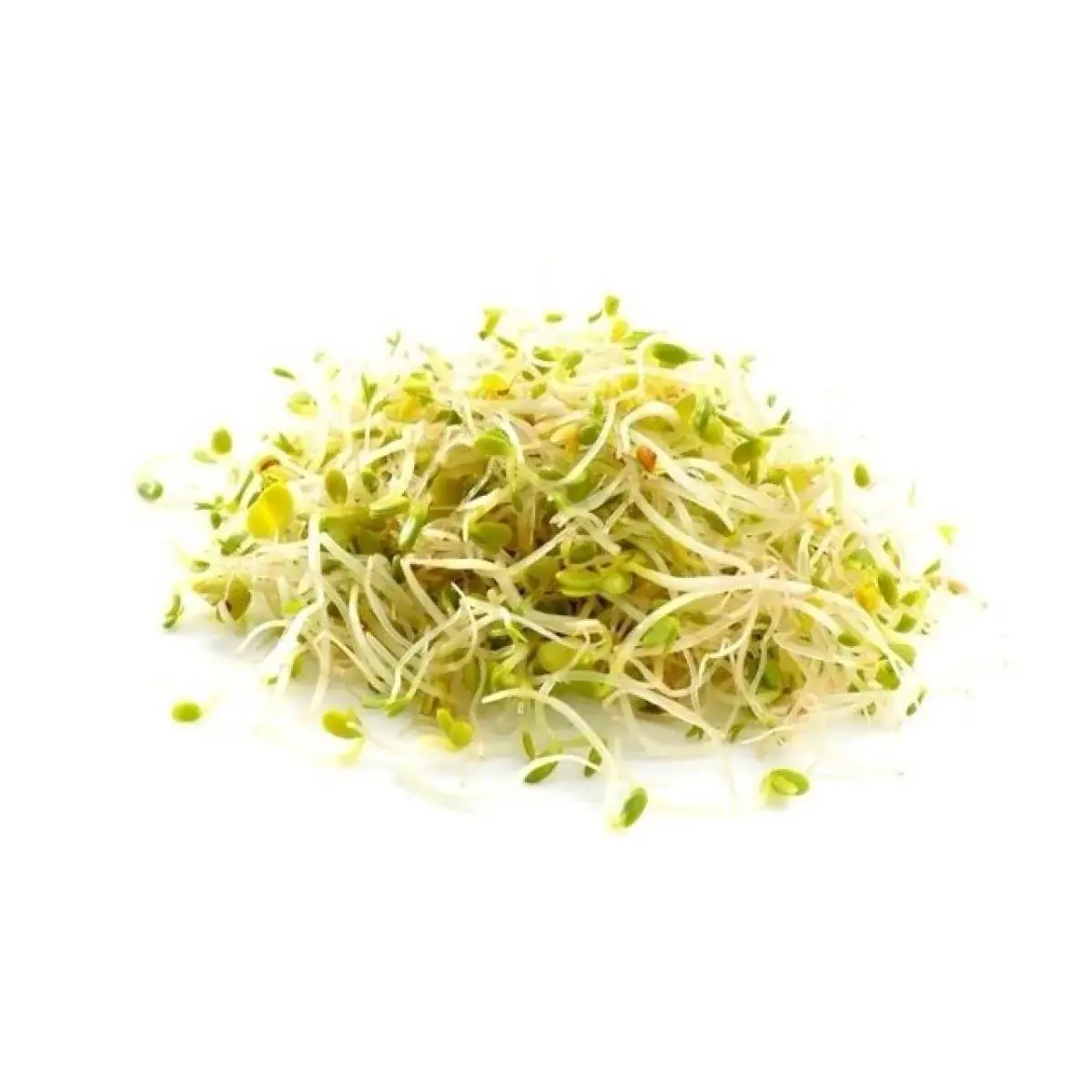 BROTO DE ALFAFA 150G