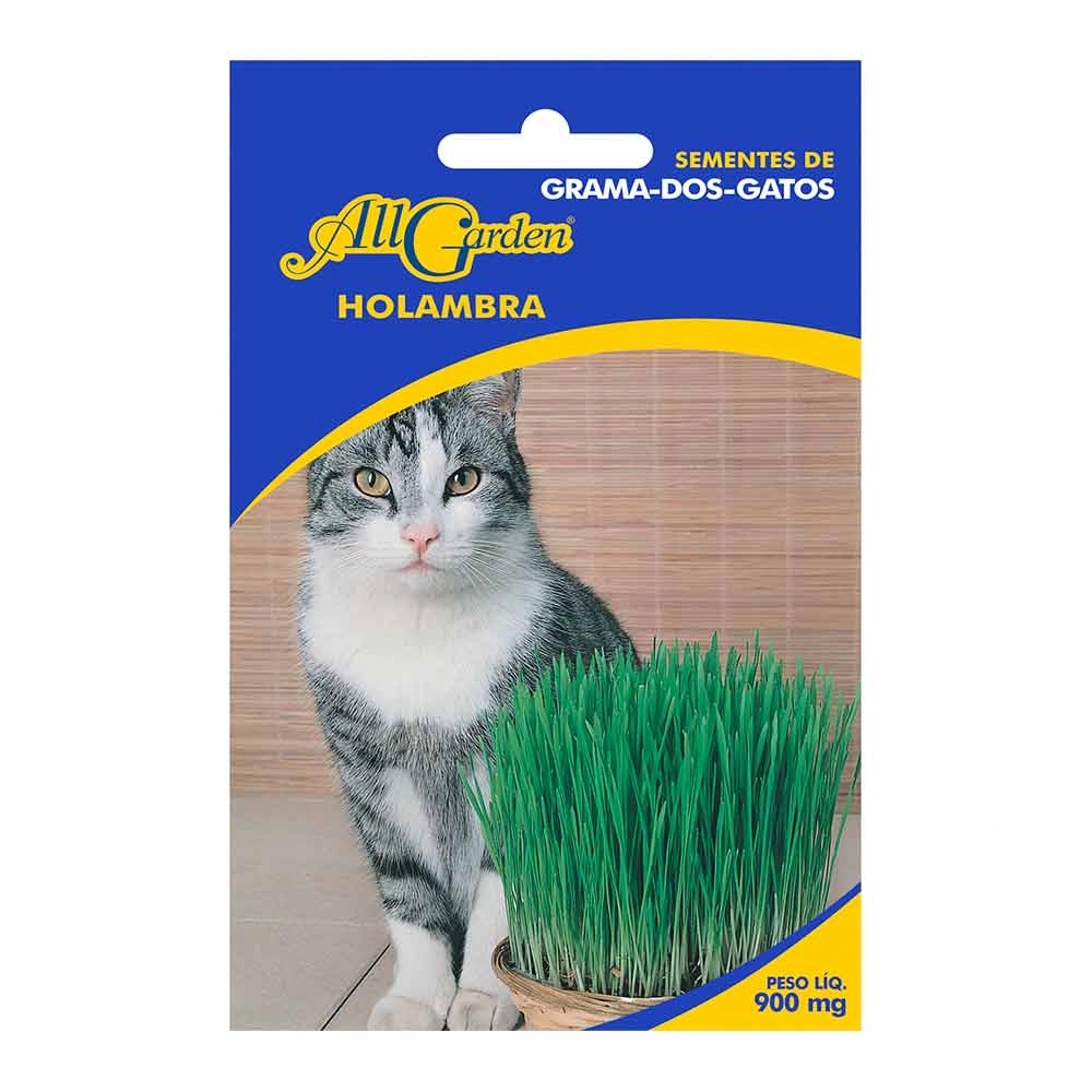 Semente Grama De Gato