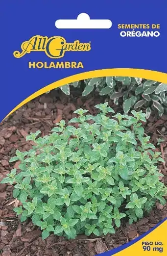 Semente Oregano