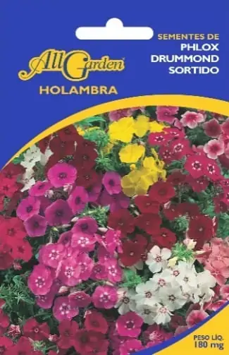 Semente Allgarden Phlox Drummo