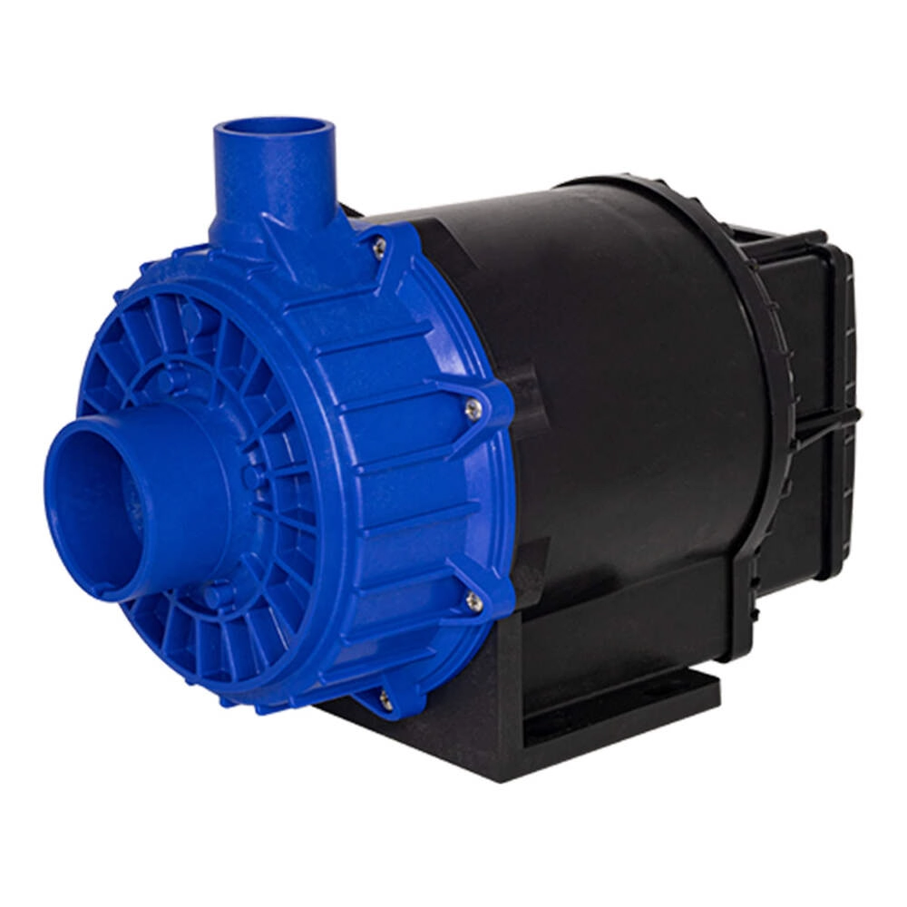 Bomba Para Hidromassagem De Piscina Syllent 1/2cv 220v