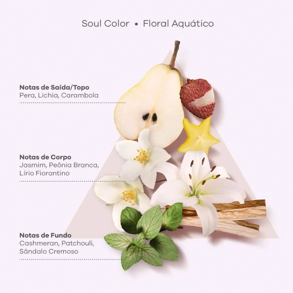 Bra Blonde Oil By Ana Paula Siebert Condicionador 250ml