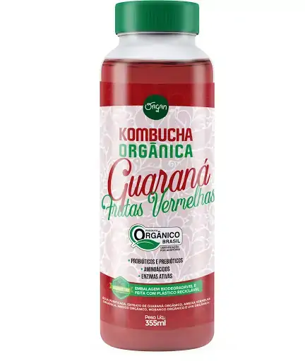 Kombucha Org Frutas Vermelhas Organ 355ml