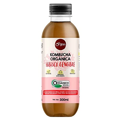 Kombucha Org Hibisco Gengibre Organ 355ml