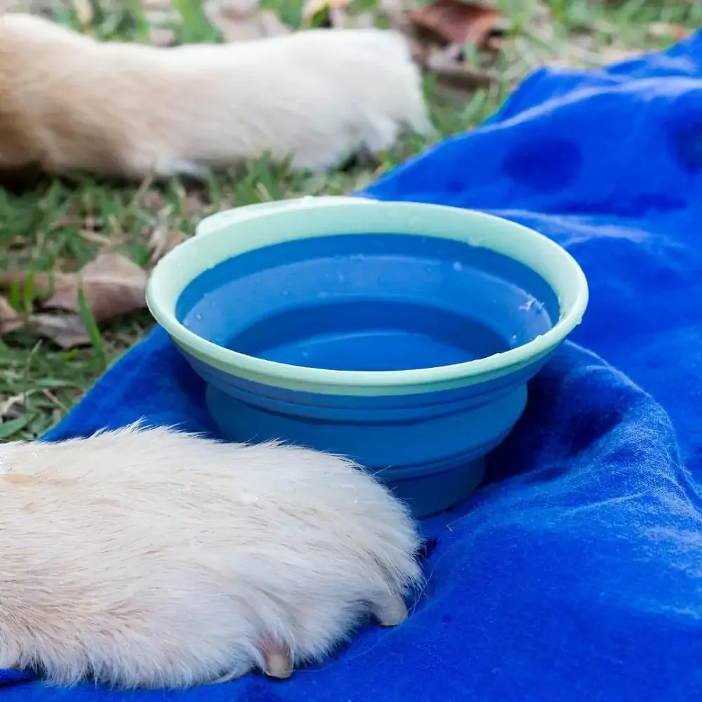 Bowl Retrátil para PET Azul OIKOS Animal PET01866AZL