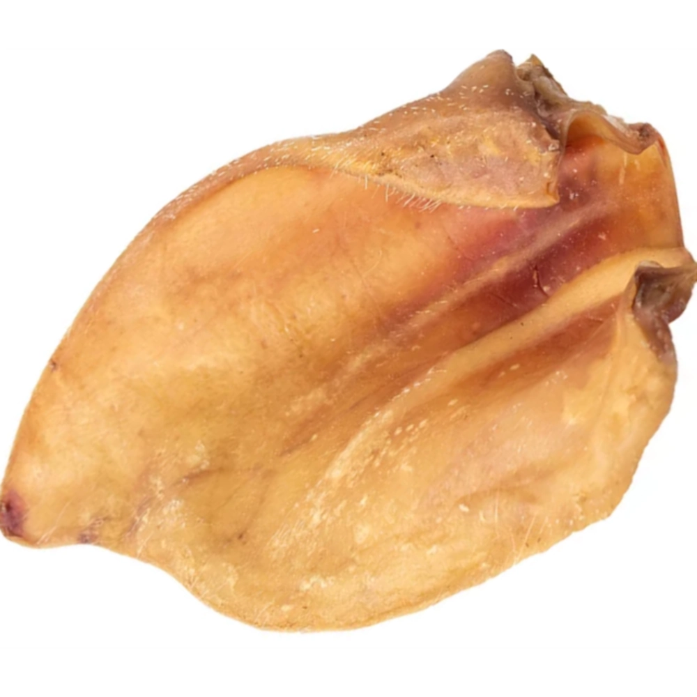 Orelha Bovina Due