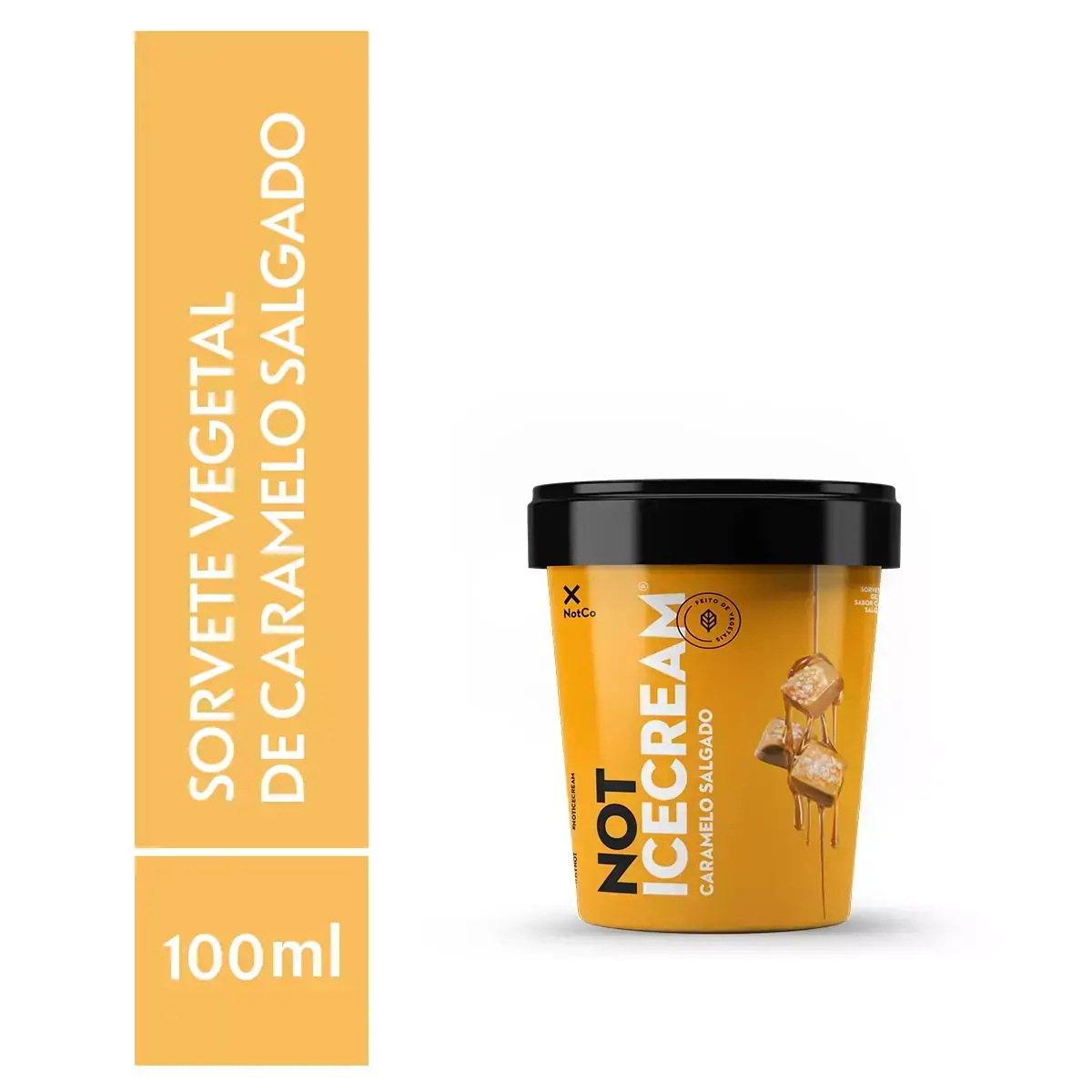 Sorvete à Base de Vegetais Caramelo Salgado Not Pote 100ml