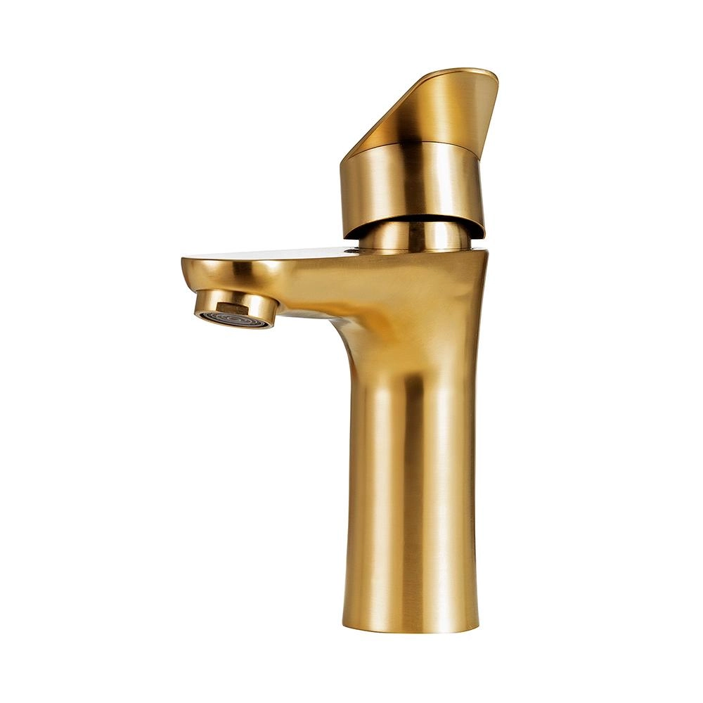 Torneira Para Banheiro Misturador Monocomando Baixa Aço Inox 304 Araguaia Pingoo.casa - Dourado Escovado