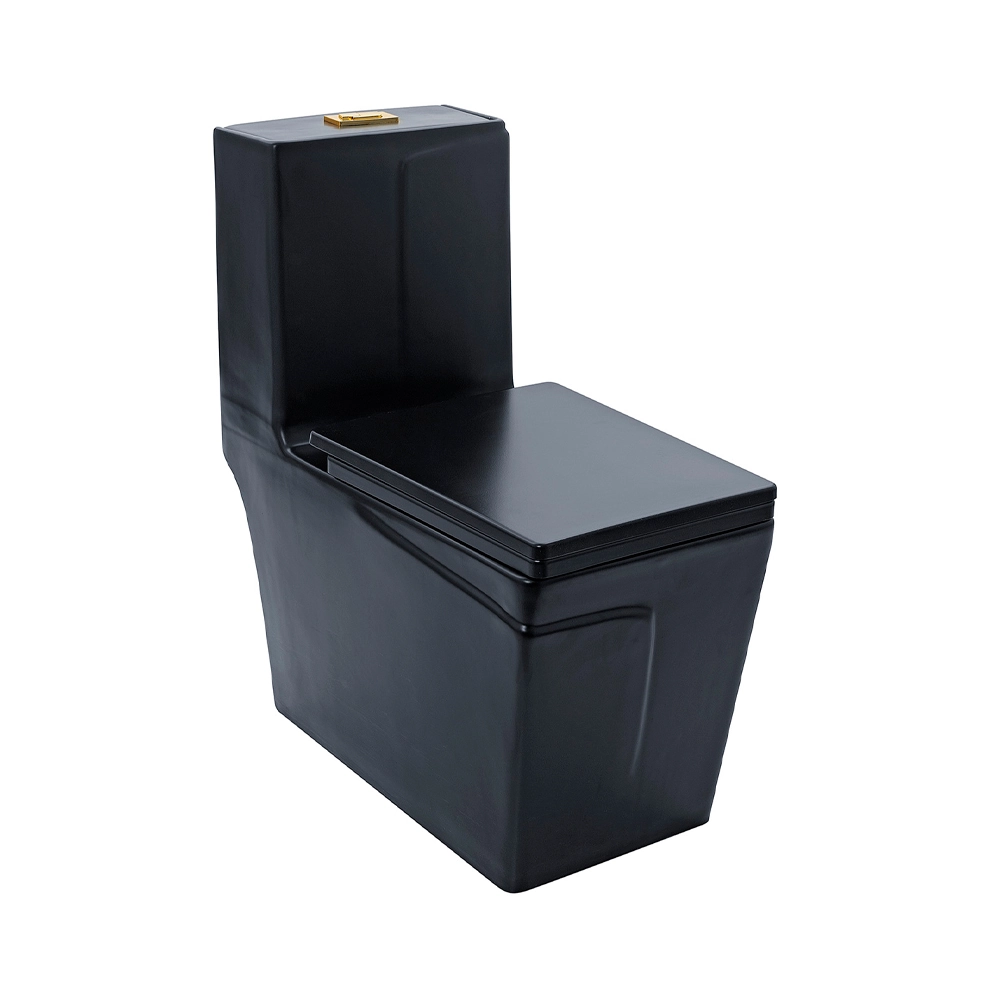 Vaso Sanitário Monobloco Caixa Acoplada Topázio Pingoo.casa - Preto