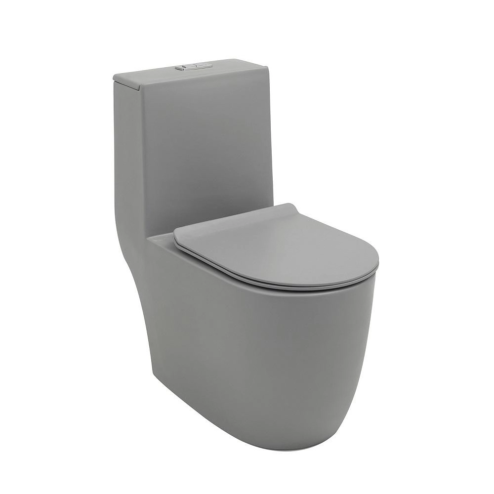 Vaso Sanitário Monobloco Amazonita Pingoo.casa - Cinza