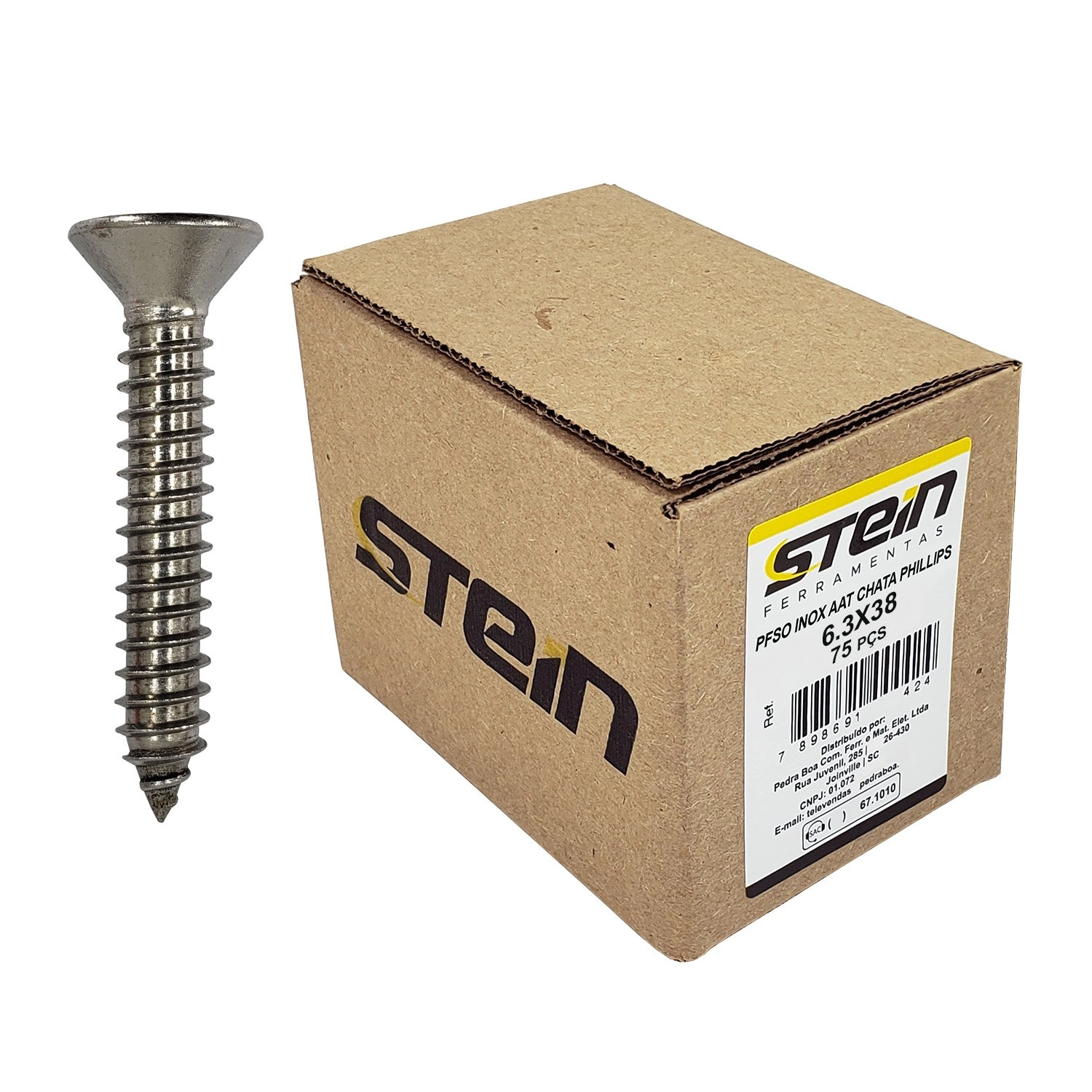 Parafuso Inox Auto Atarraxante Chata Phillips Stein 6,3x38 Caixa Com 75 Peças