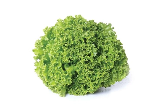 Alface Crespa Benverde Un
