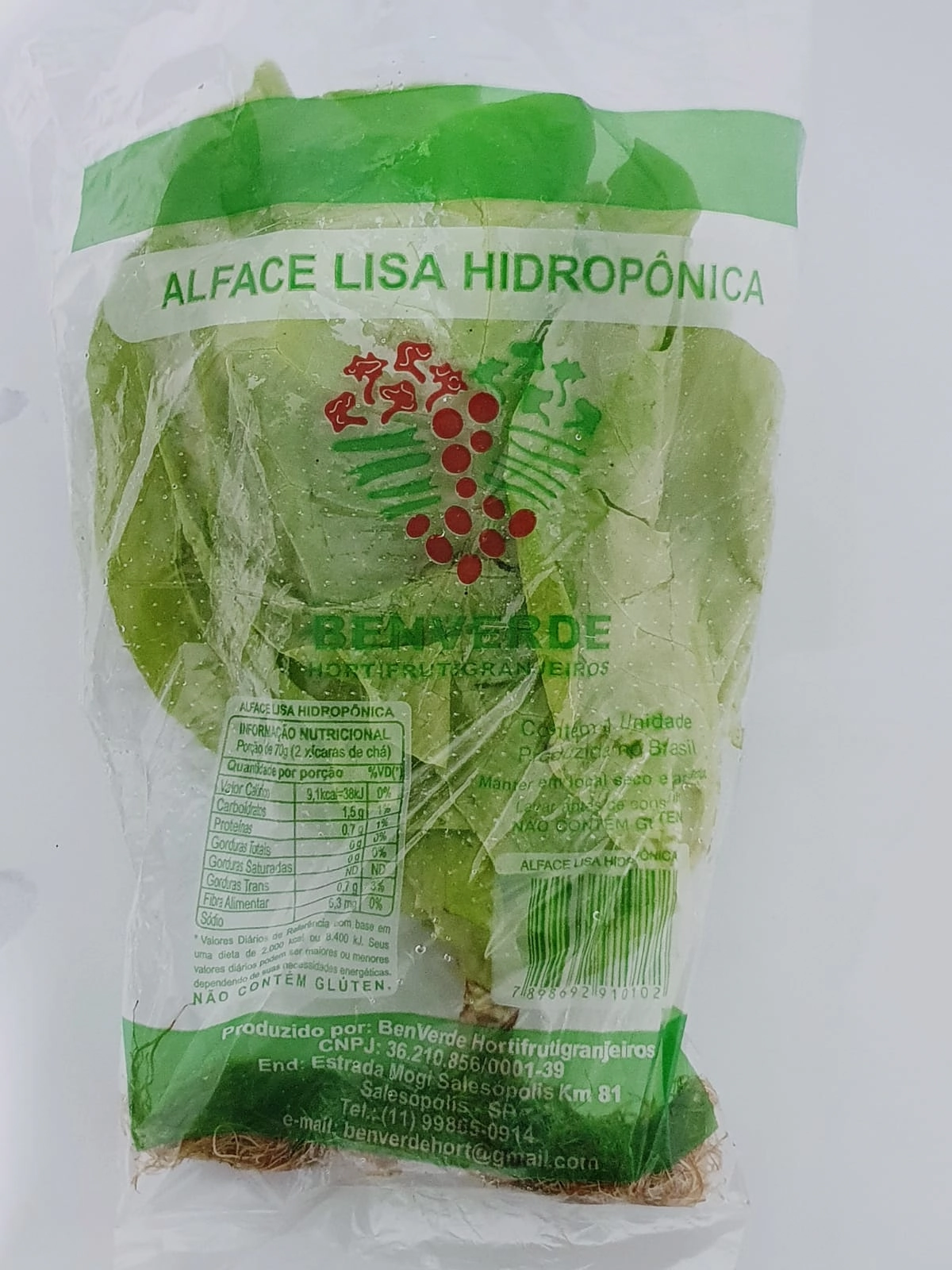 Alface Lisa Benverde Hidroponica Un