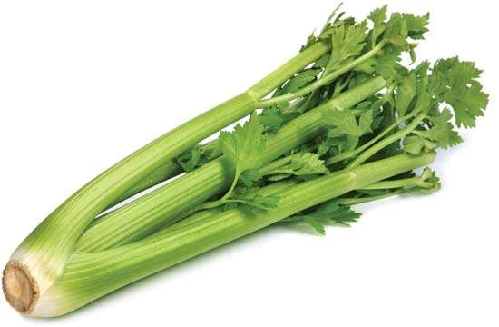 Salsao Benverde Un