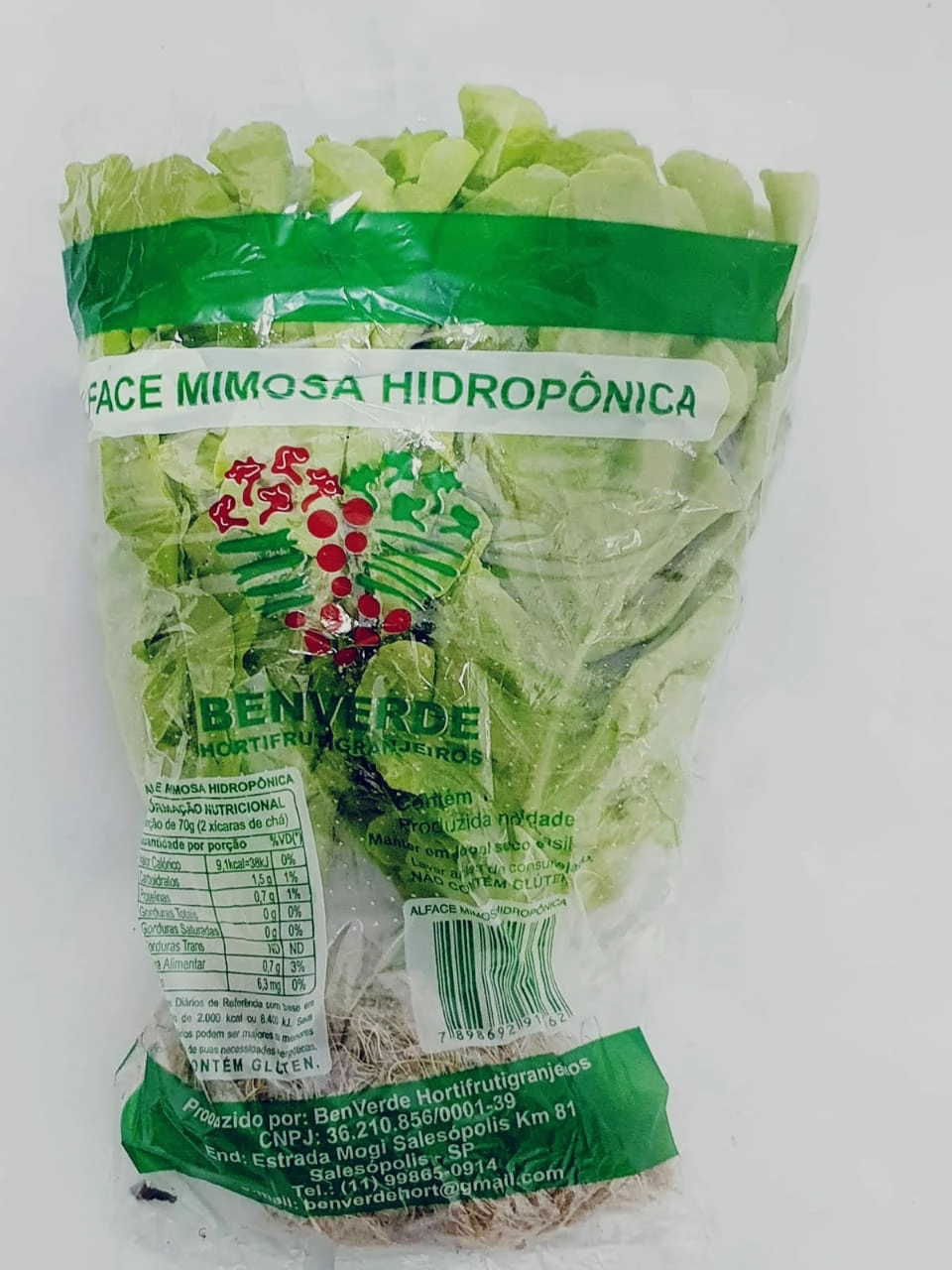 Alface Mimosa Benverde Hidroponica Un