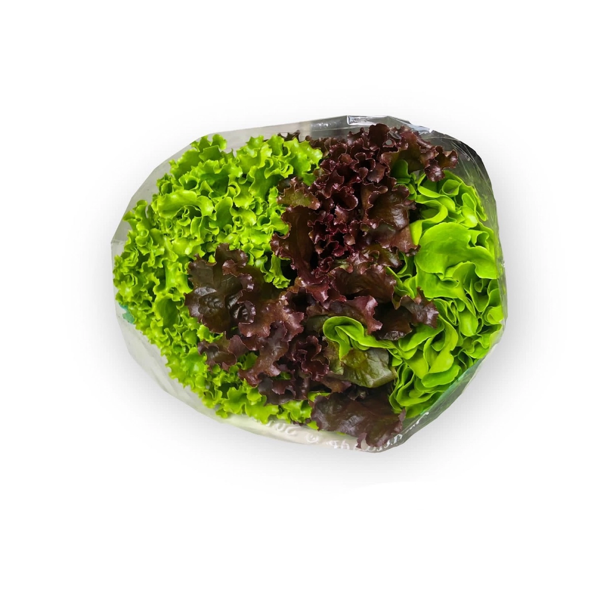 Mix Alface Mimosa/roxa/crespa Hidrop. Benverde Un