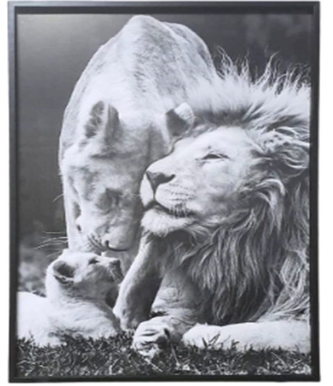 Quadro Moldura G 62x92 613 Sul Catarinense
