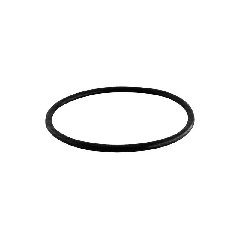 Anel Vedador Flange Bomba Combustível - DS 1489