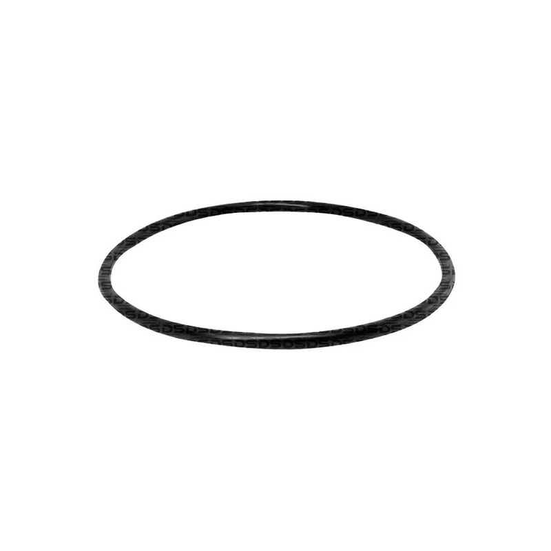 Anel Vedador Flange Bomba Combustível - DS 1490
