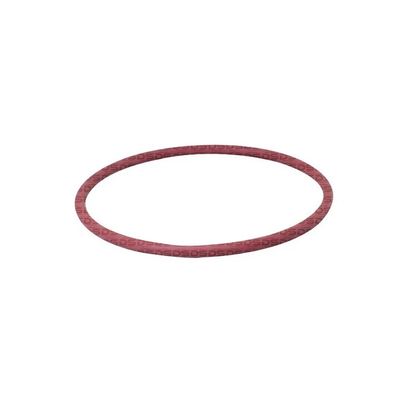 Anel Vedador Flange Bomba Combustível - DS 1491