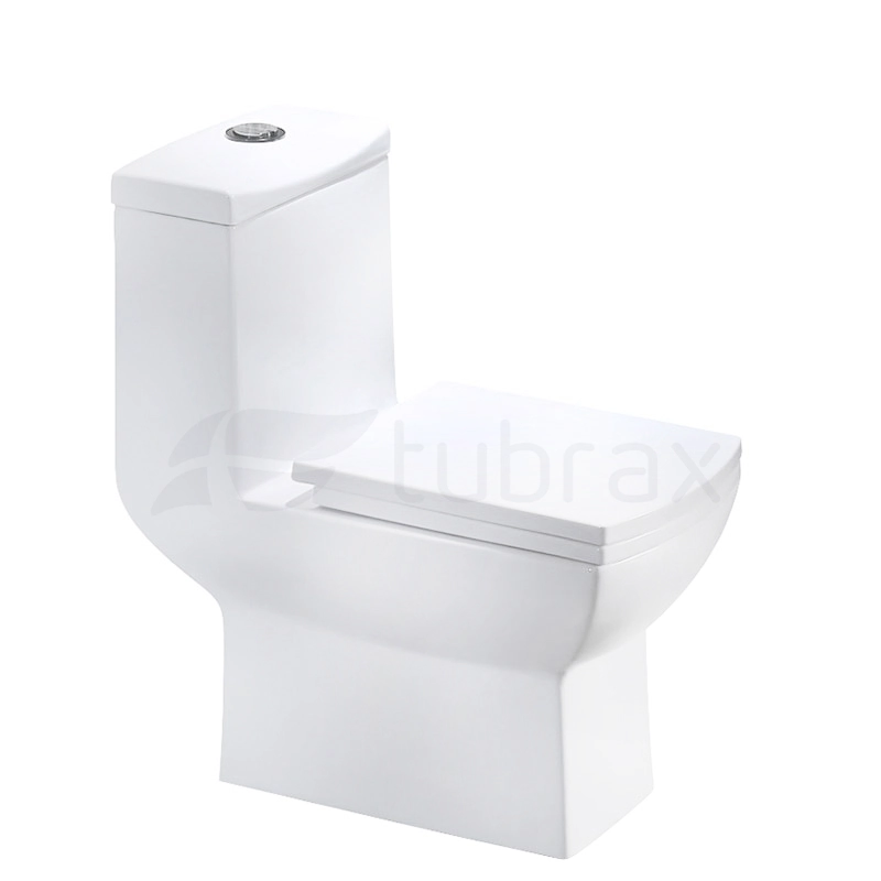 Vaso Sanitário Monobloco Produzido Em Cerâmica Com Acessórios - Vab0001-c