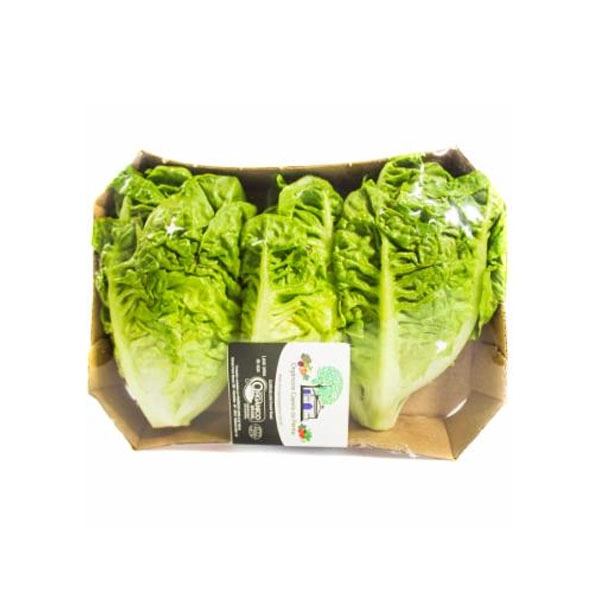 Alface Romana Mini Hasegawa 100g