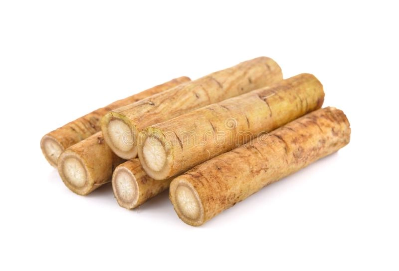 Raiz Gobo Hasegawa 150g