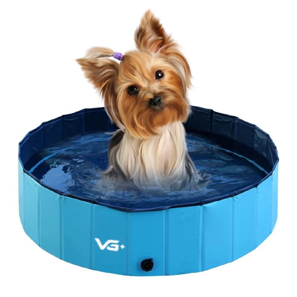 Piscina Para Cachorro Pets Dobrável Azul 80 Cm X 20 Cm Vg+