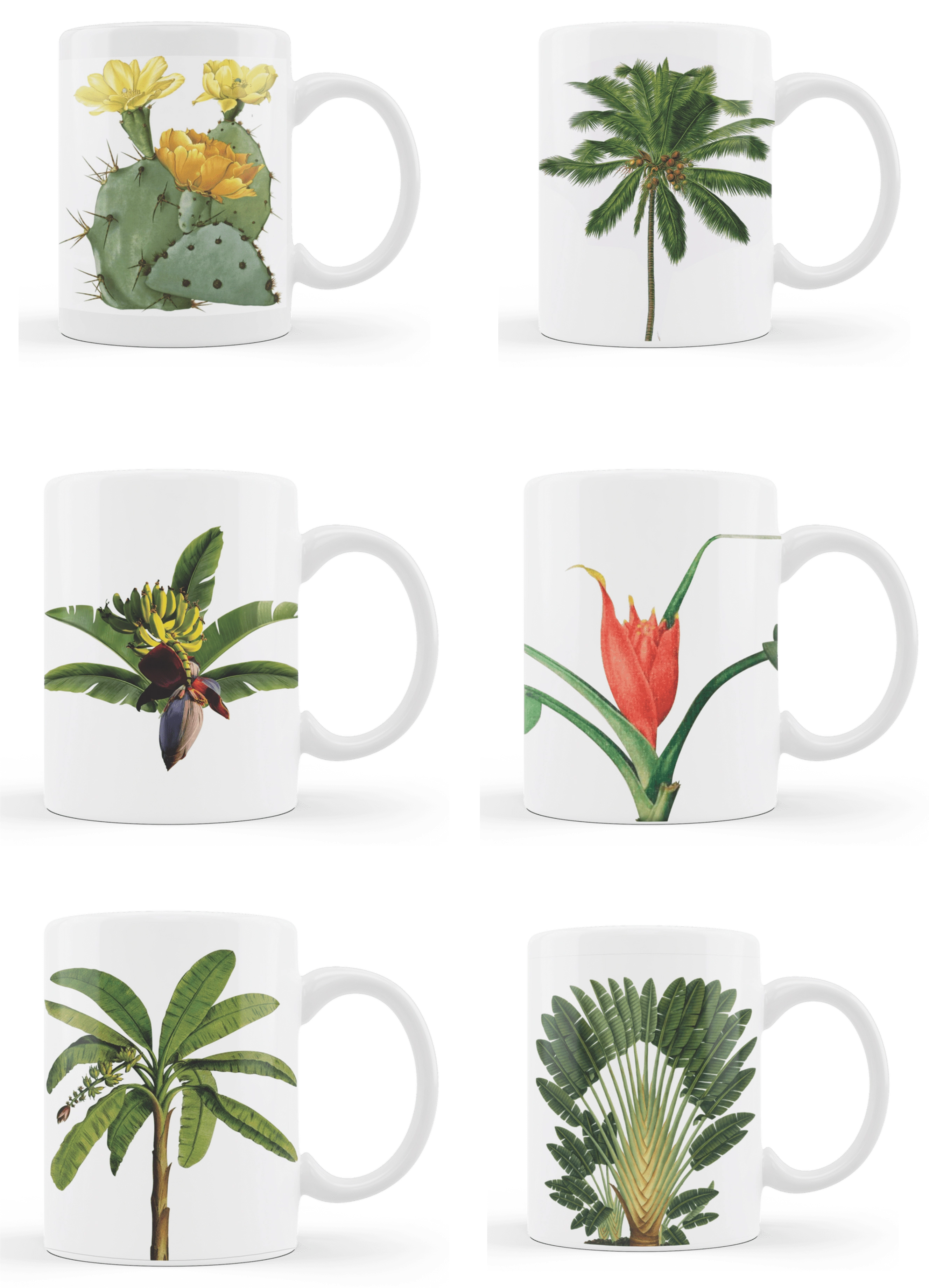 Caneca Porcelana Reta Caixa Arbustos 300ml U12 17 Unita