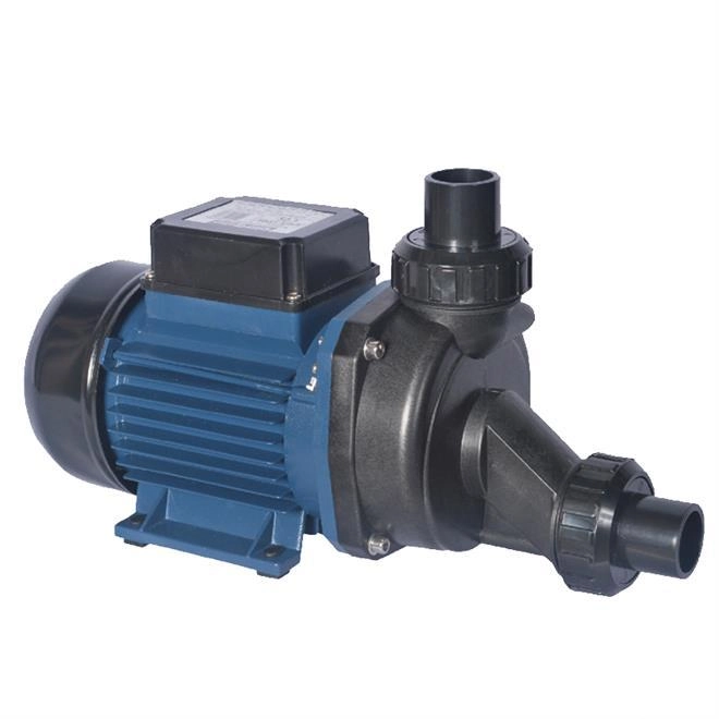 Motobomba Para Hidromassagem 1.0cv 110v Ech-100i Eletroplas