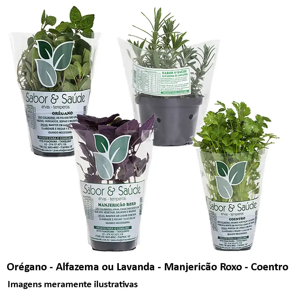 Ervas Aromatica Diversas