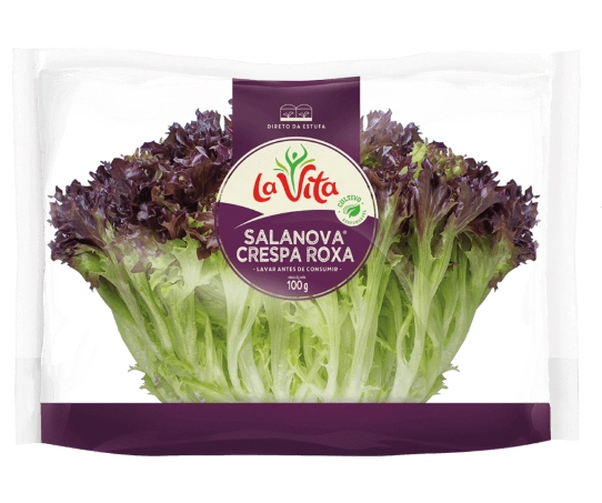 Salanova Crespa Roxa In Natura 100g