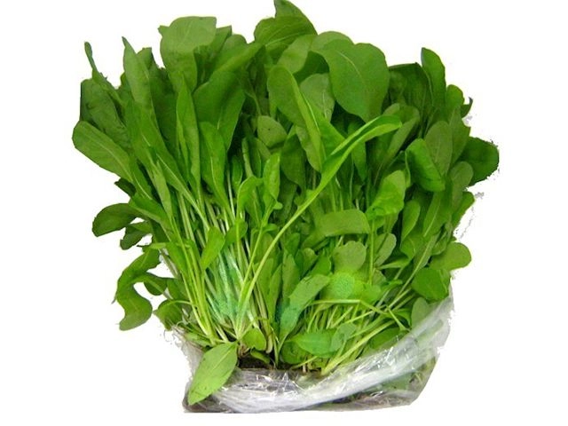 Rucula Hidroponica Maco